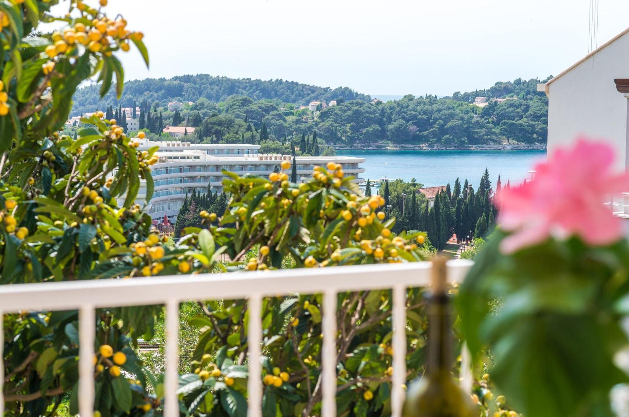 Villa Bind Cavtat Rom bilde